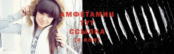 сатива Корсаков