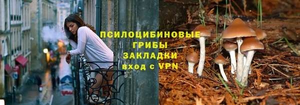 хмурый Куйбышев
