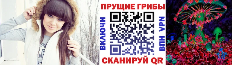 как найти закладки  Кропоткин  Галлюциногенные грибы Magic Shrooms 