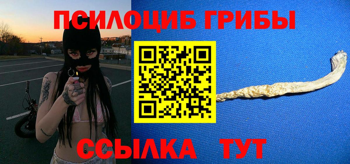 Псилоцибиновые грибы мицелий Кропоткин